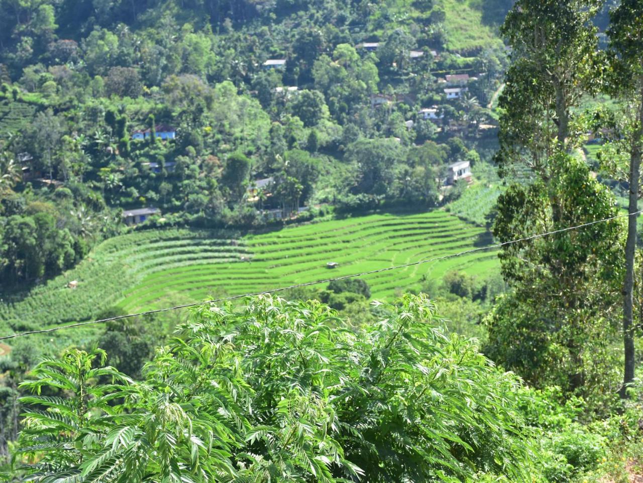Ornateview Hotel Ella Luaran gambar